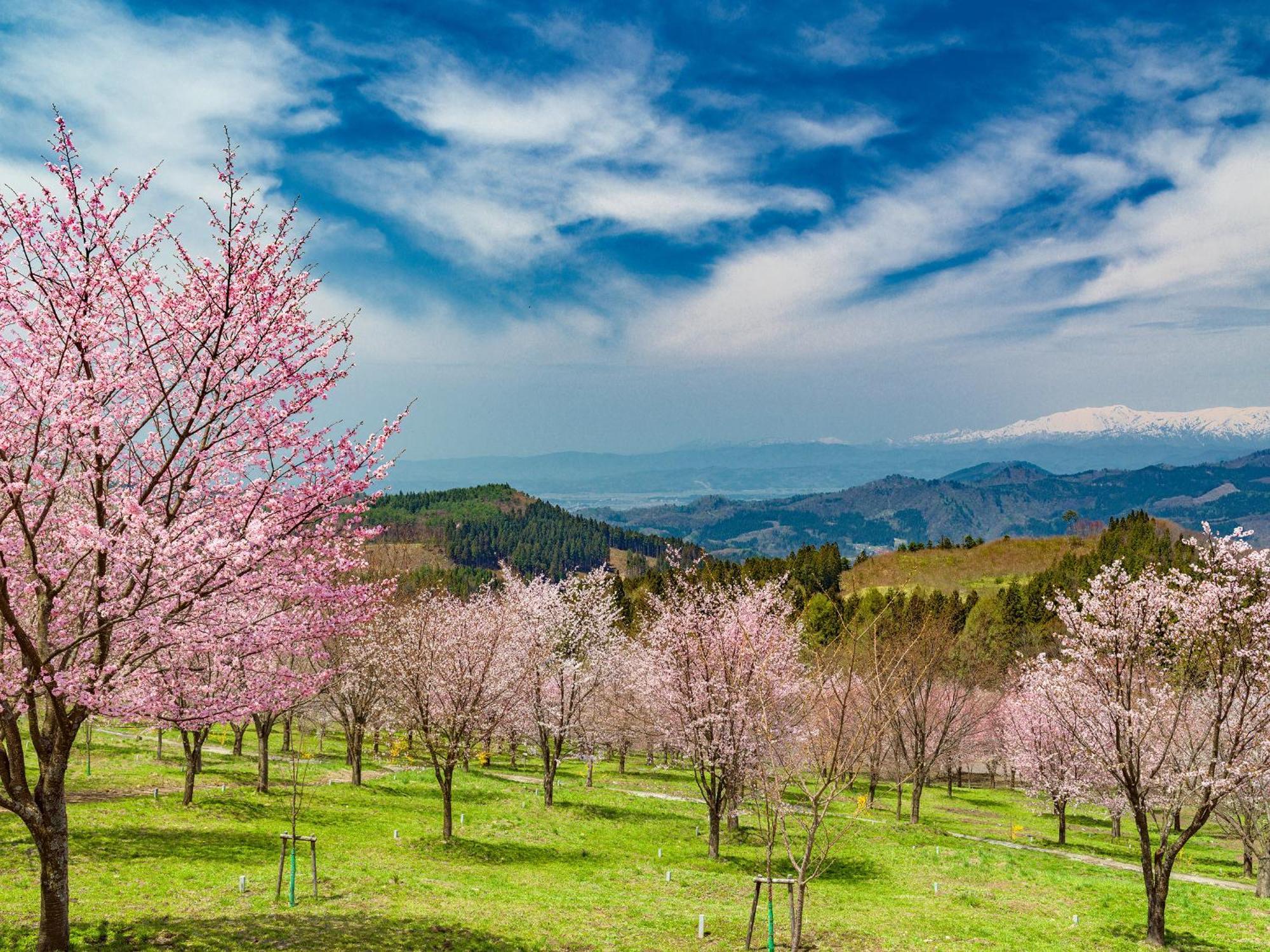 Urabandai Lake Resort Geihinkan Nekoma Rikyu Kitashiobara Exteriör bild